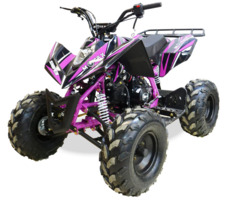 Квадроцикл MOTAX ATV T-Rex Super LUX 50 cc