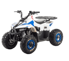 Квадроцикл MOTOLAND 110 Eagle (2021 Г.)