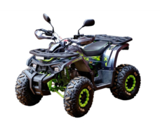 Квадроцикл MOTOLAND 125 Wild X Pro