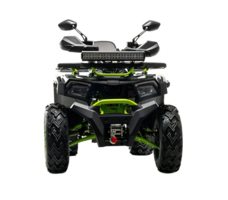 Квадроцикл MOTOLAND 200 Wild Track X Winch