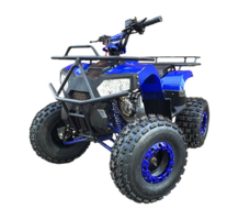 Квадроцикл MOWGLI Bold 8