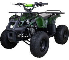 Квадроцикл RAPTOR ATV 200U Premium ALL 200cc 4Т