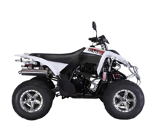 Квадроцикл RATO RТ250SТ-2