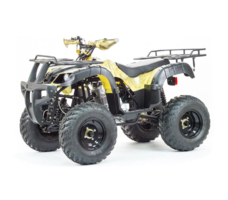 Квадроцикл STALKER 250