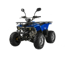 Квадроцикл TIGER Extra 175cc (2024)