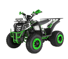 Квадроцикл WELS Thunder Evo 200