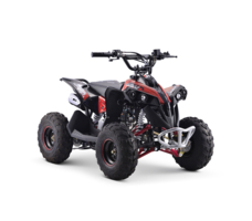 Квадроцикл YACOTA RENEGADE MINI