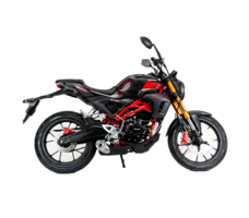 Мотоцикл MOTOLAND 501 (172FMM-5/PR250) ТУРЭНДУРО