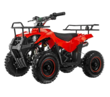 Квадроцикл TIGER Mini 49 (2024)