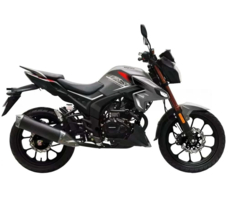 Мотоцикл REGULMOTO Majesty