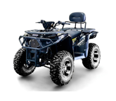 Квадроцикл BIZON ZX350