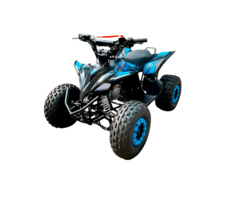 Квадроцикл MOTORHEAD Devil