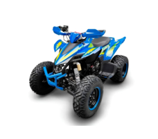 Квадроцикл RACER Typhoon 250