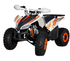 Квадроцикл МОТОМИР Sporty 125