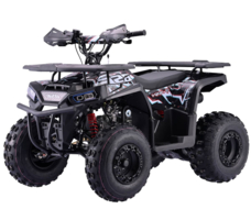 Квадроцикл BSE XT-1U Black