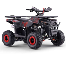 Квадроцикл MOTAX Grizlik Basic 125