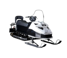 Снегоход БТС 4Т РК Супер-Лонг Люкс 29 л.с.