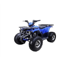 Квадроцикл RATO Hammer 125