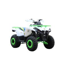 Квадроцикл ROVER 200L PRO