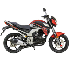 Мотоцикл RACER RC300CK-N FIGHTER ТУРЭНДУРО