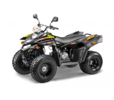 Квадроцикл STELS ATV 110A HUGO